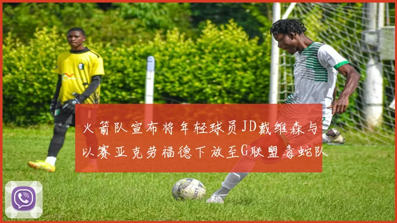 火箭队宣布将年轻球员JD戴维森与以赛亚克劳福德下放至G联盟毒蛇队进行锻炼
